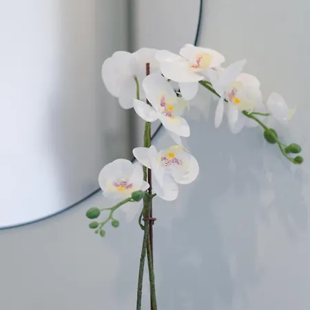 - Cozy House Apartamento